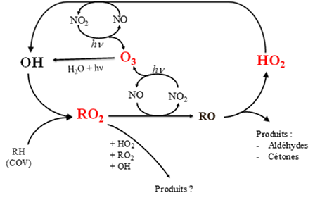 Figure 1 : Cycle de réactivité des radicaux dans l’atmosphère